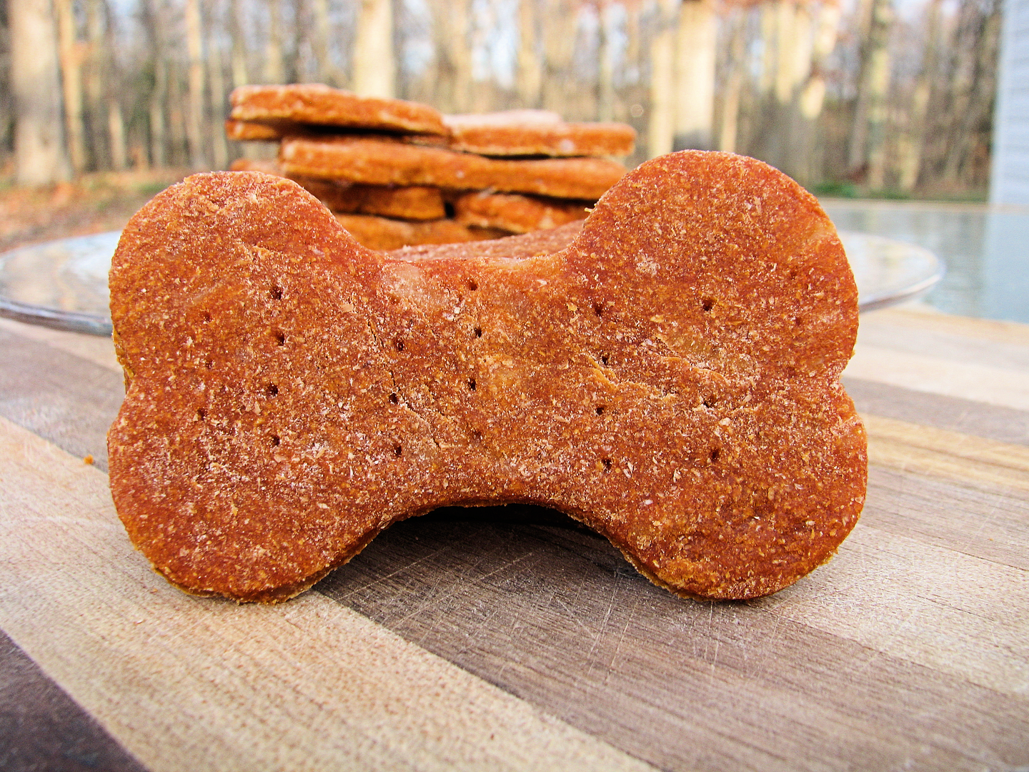 Cheesy Tomato Basil Dog Treats Big Bear's Wife